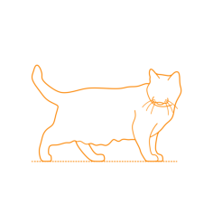 Animals Cats Chartreux Cat Engraving Svg Design, Free Vectors File